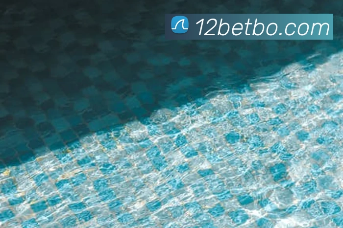 12bet服务体系